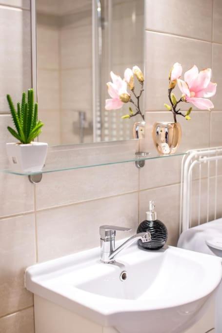Vintage Style Cozy Downtown Apartment. Budapest Luaran gambar